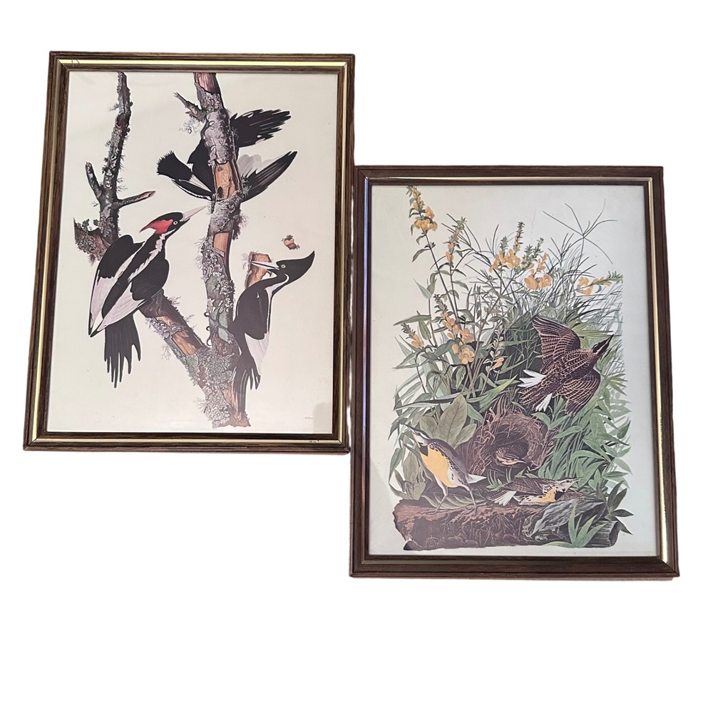 Audubon Bird Prints Set of 2 8x10 Brown Gold Framed Meadowlark Woodpecker
